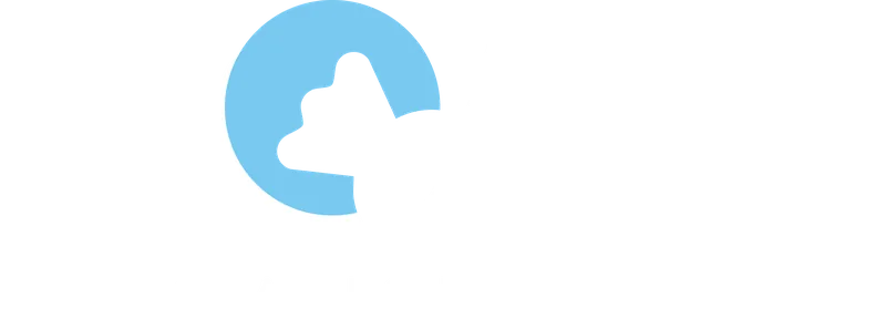 NOAM Graphic Designer